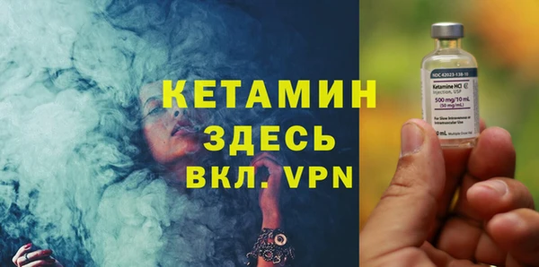твердый Ельня