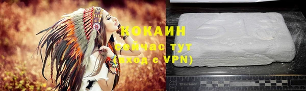 стаф Дмитровск