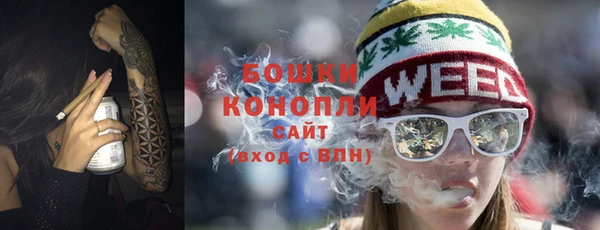 твердый Ельня