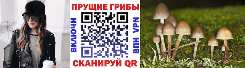 Галлюциногенные грибы Magic Shrooms  Купить где  Мыски 